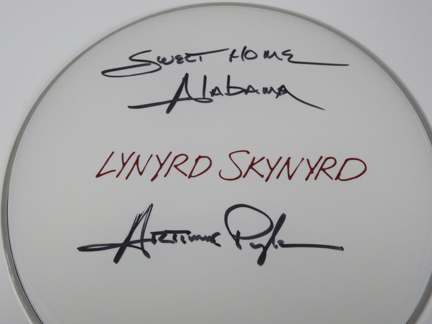 Lynyrd Skynyrd Signed Drumhead RR58813