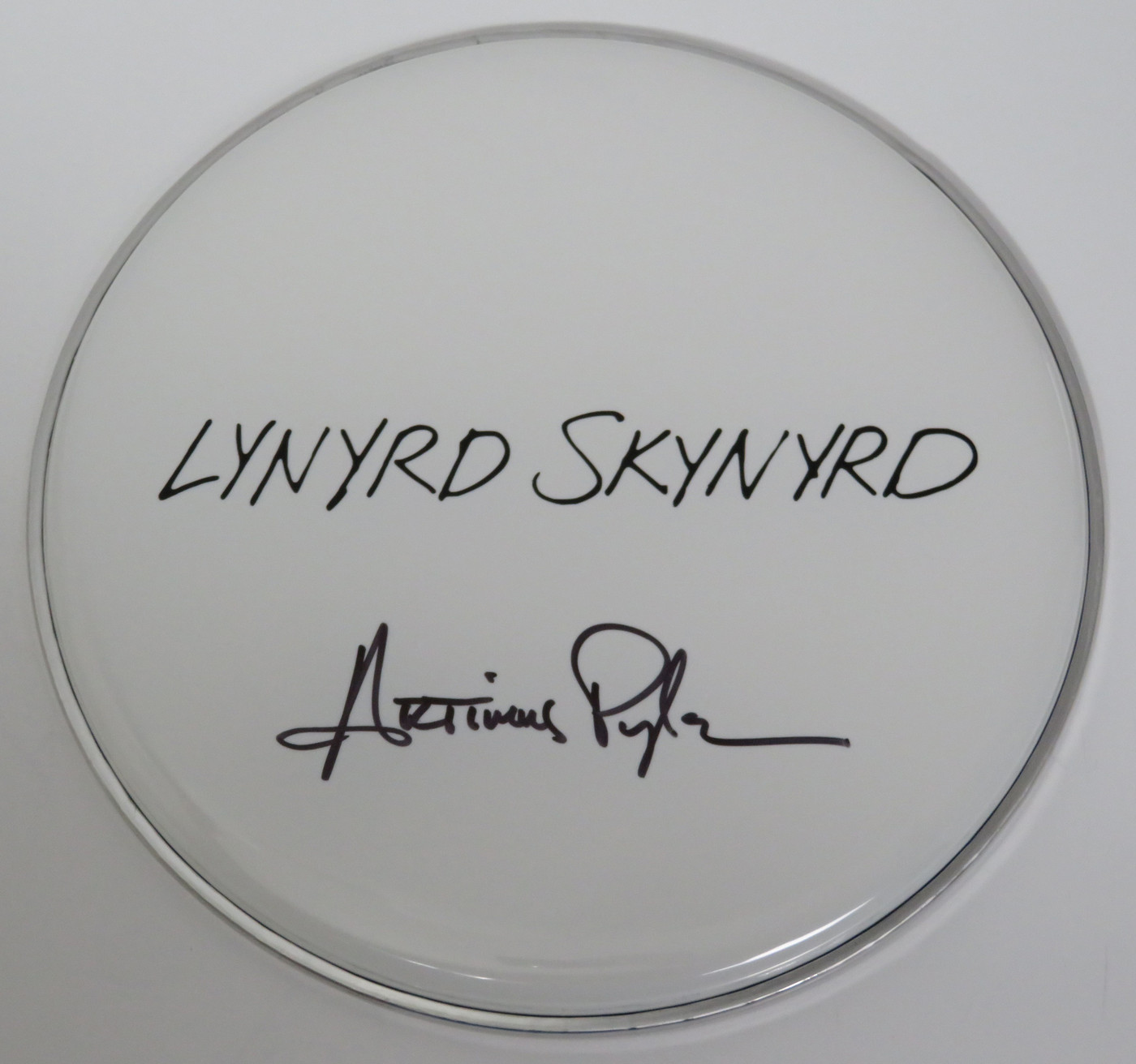 Lynyrd Skynyrd Signed Drumhead RR58803