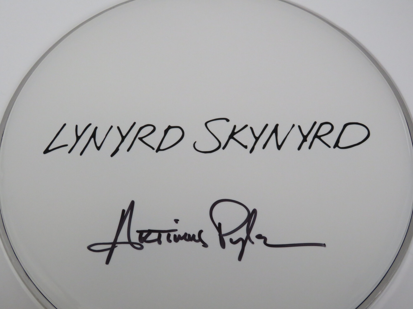 Lynyrd Skynyrd Signed Drumhead RR58803