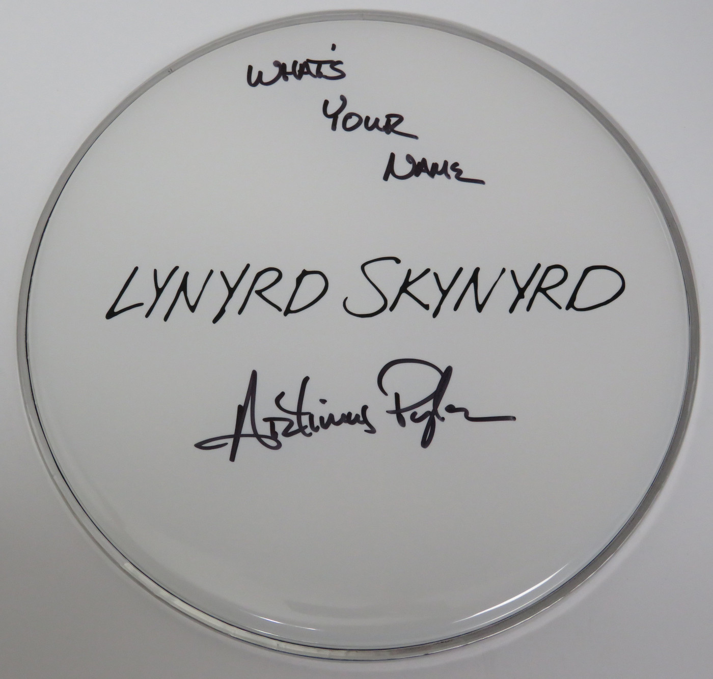 Lynyrd Skynyrd Signed Drumhead RR58801