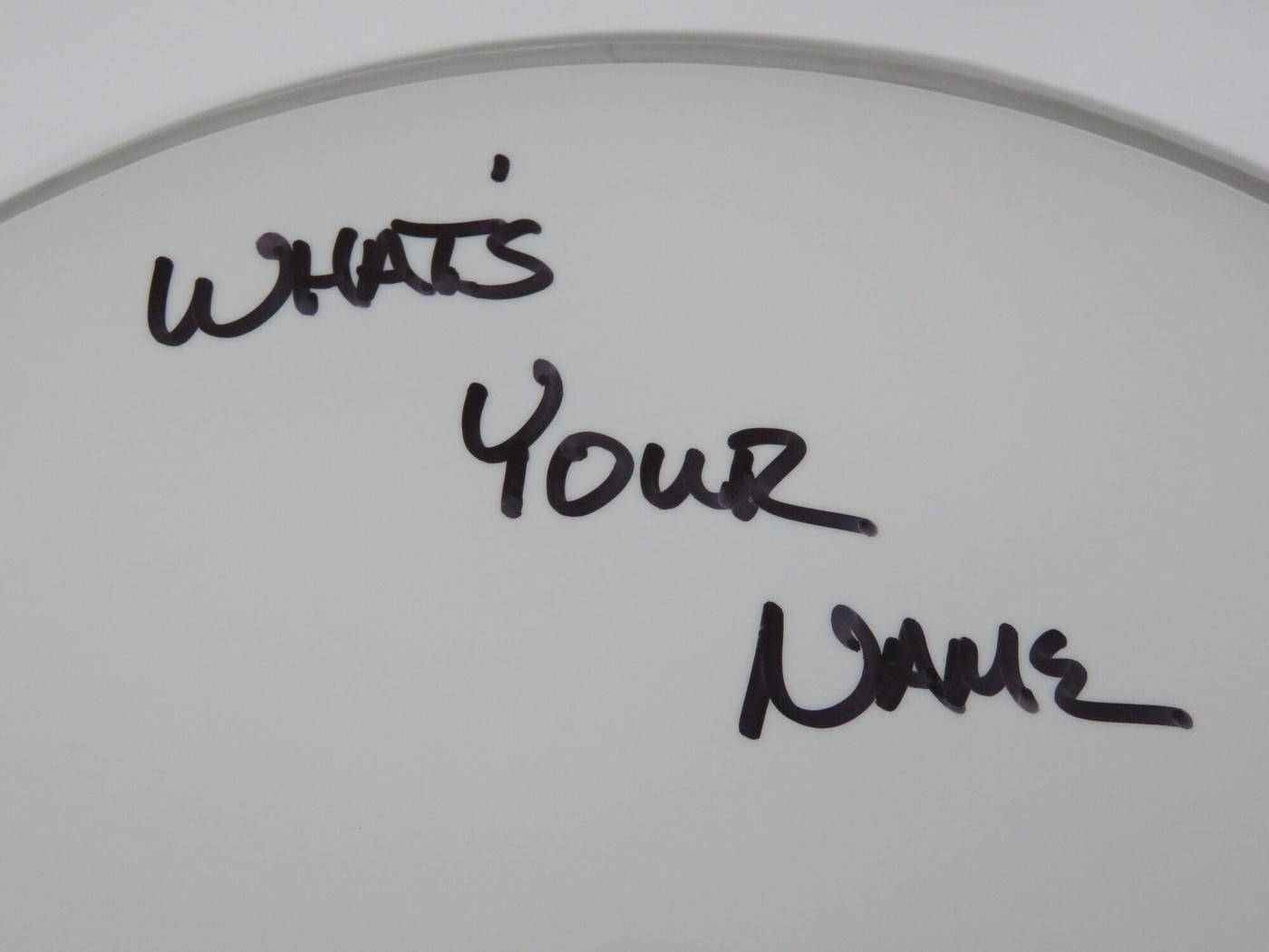 Lynyrd Skynyrd Signed Drumhead RR58801