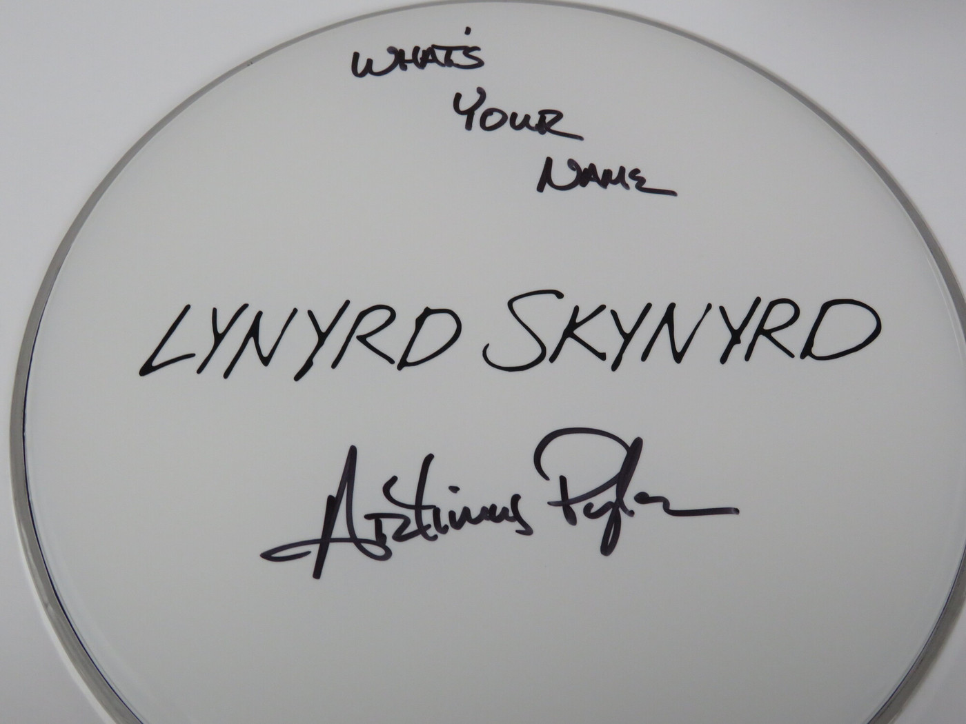 Lynyrd Skynyrd Signed Drumhead RR58801