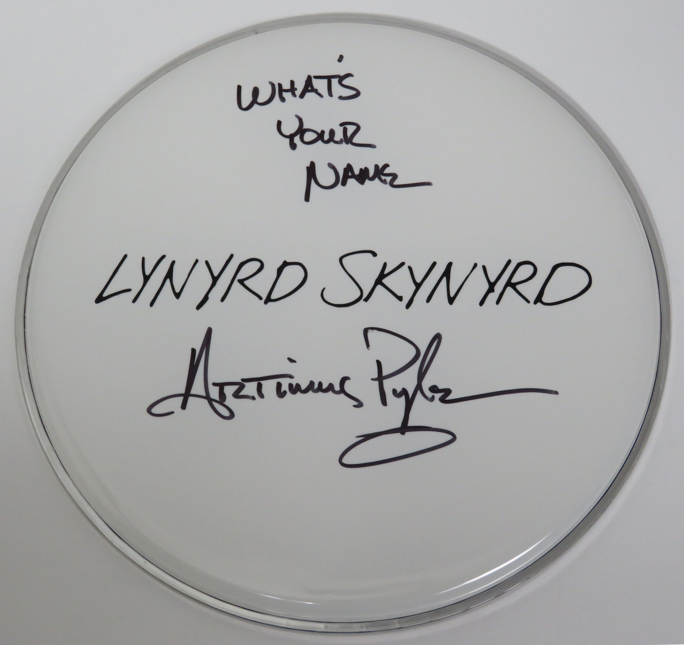 Lynyrd Skynyrd Signed Drumhead RR58802