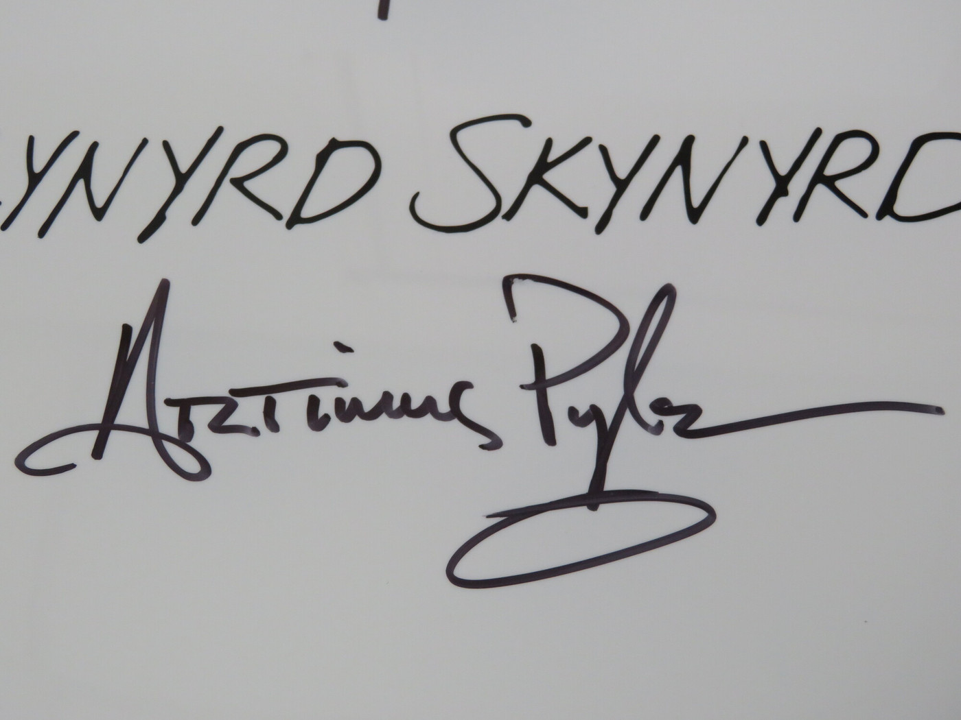 Lynyrd Skynyrd Signed Drumhead RR58802