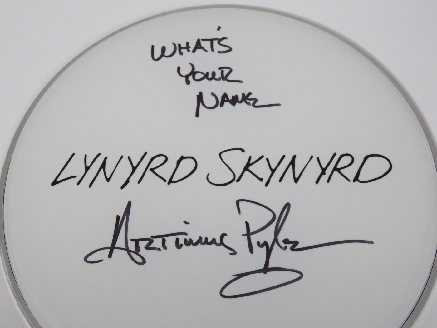 Lynyrd Skynyrd Signed Drumhead RR58802