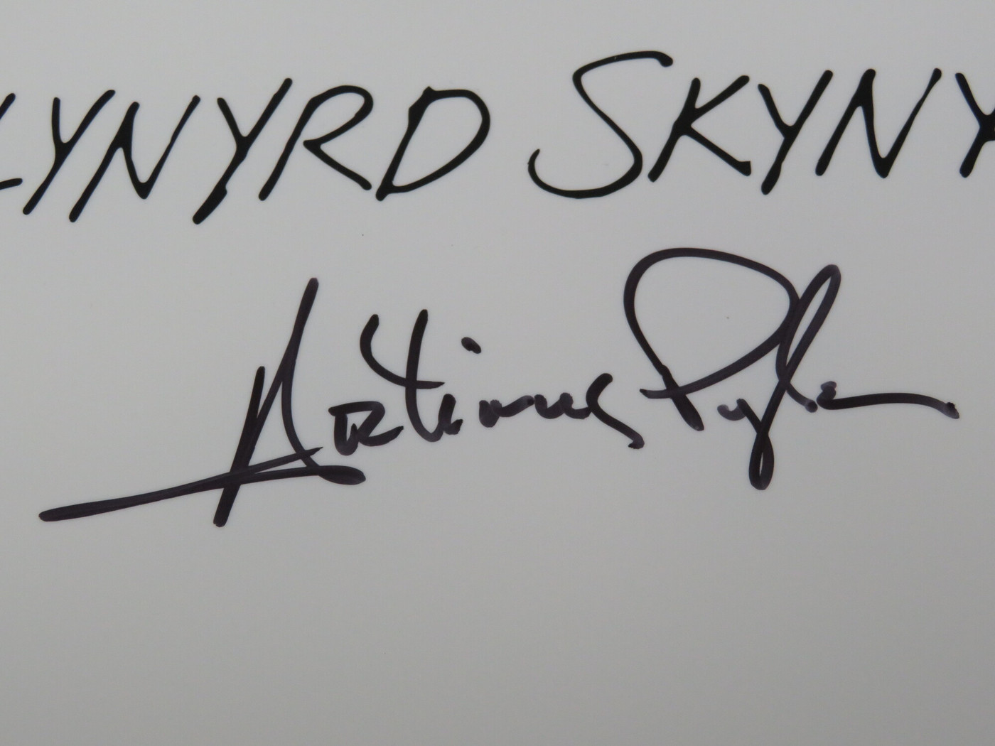 Lynyrd Skynyrd Signed Drumhead RR58805
