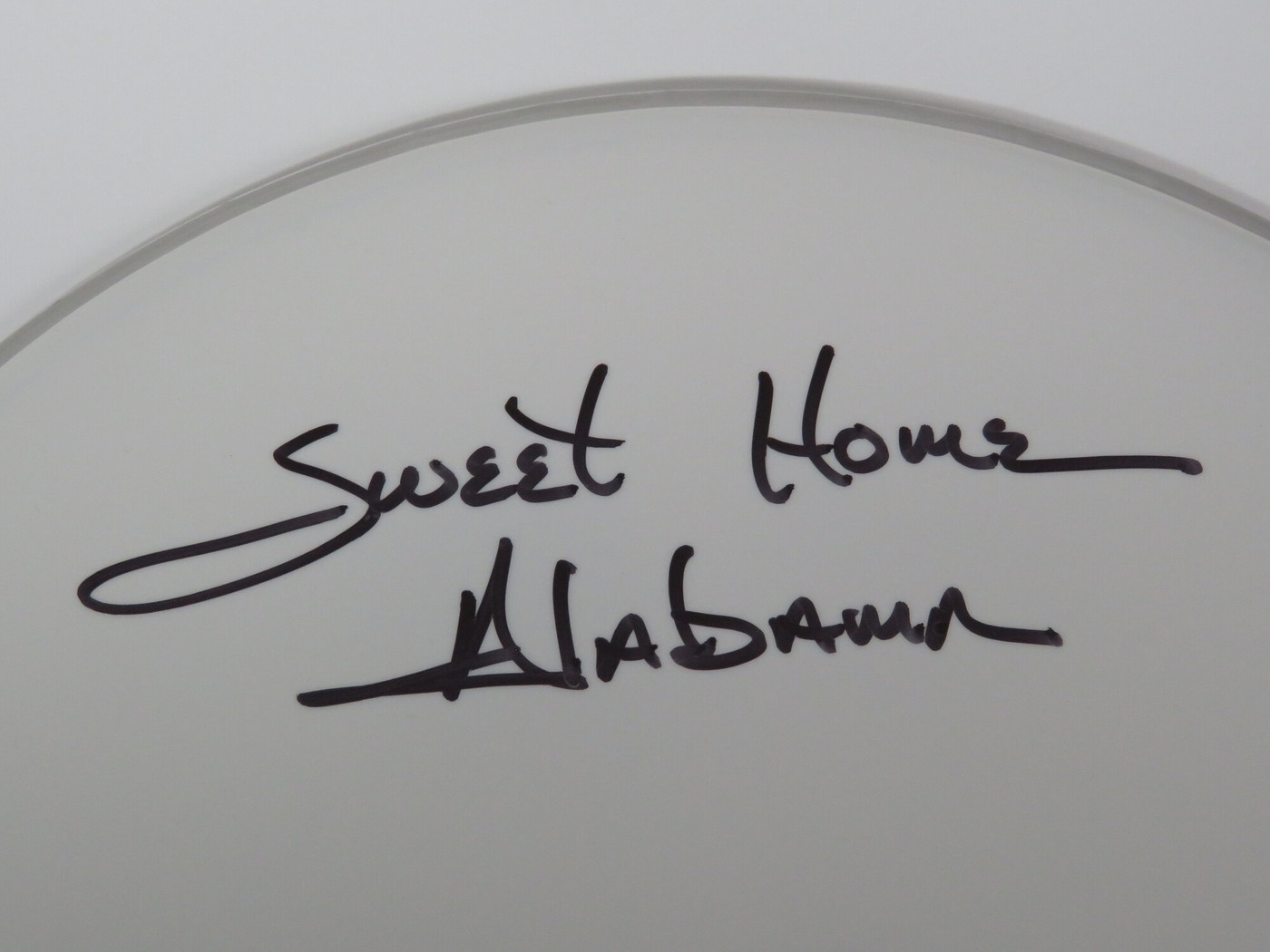 Lynyrd Skynyrd Signed Drumhead RR58805