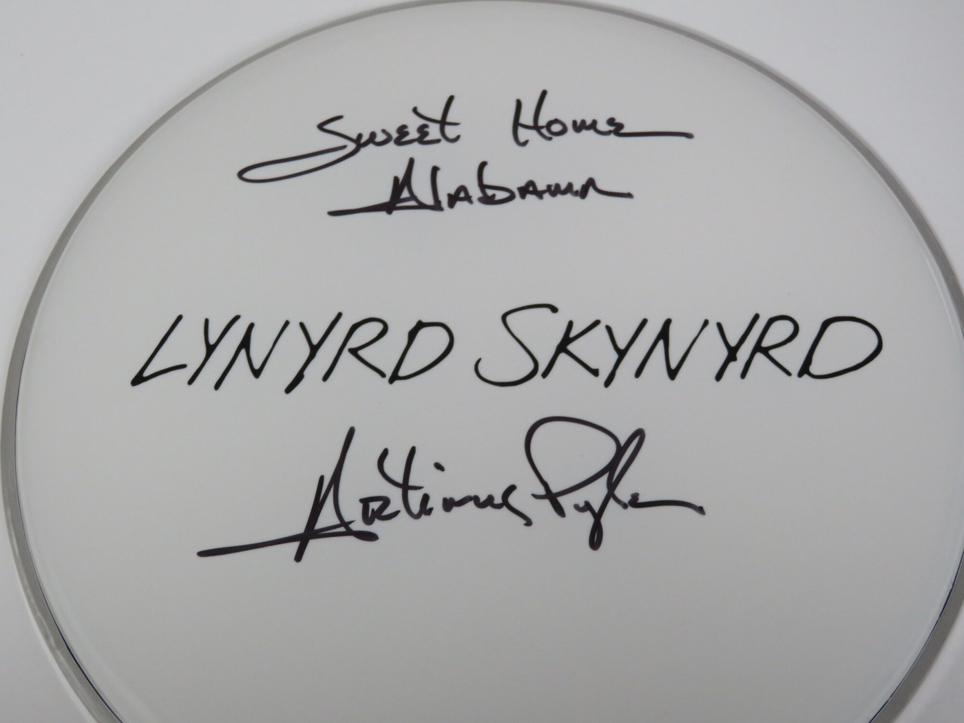 Lynyrd Skynyrd Signed Drumhead RR58805