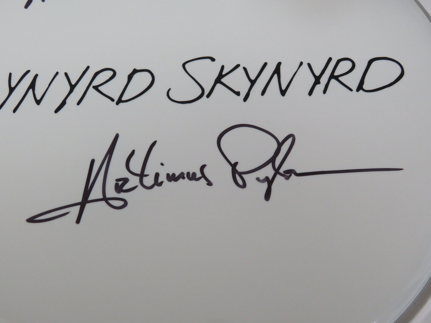 Lynyrd Skynyrd Signed Drumhead RR58806