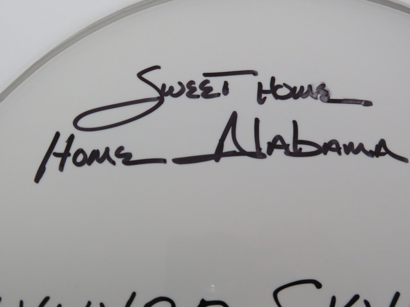 Lynyrd Skynyrd Signed Drumhead RR58806