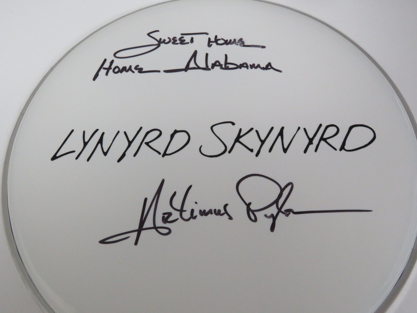 Lynyrd Skynyrd Signed Drumhead RR58806