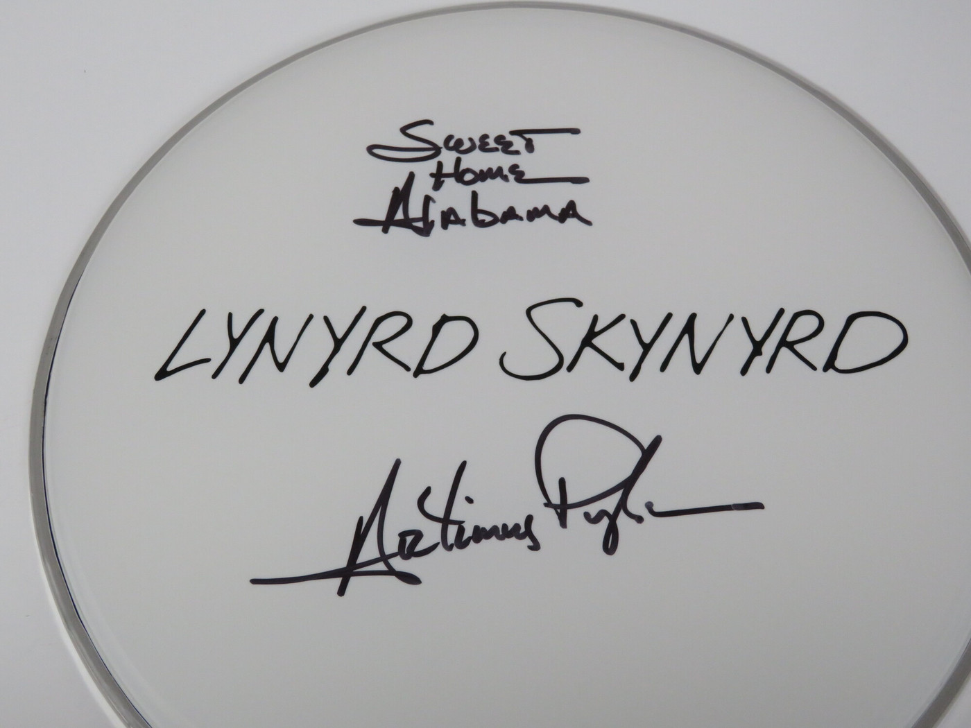 Lynyrd Skynyrd Signed Drumhead RR58810