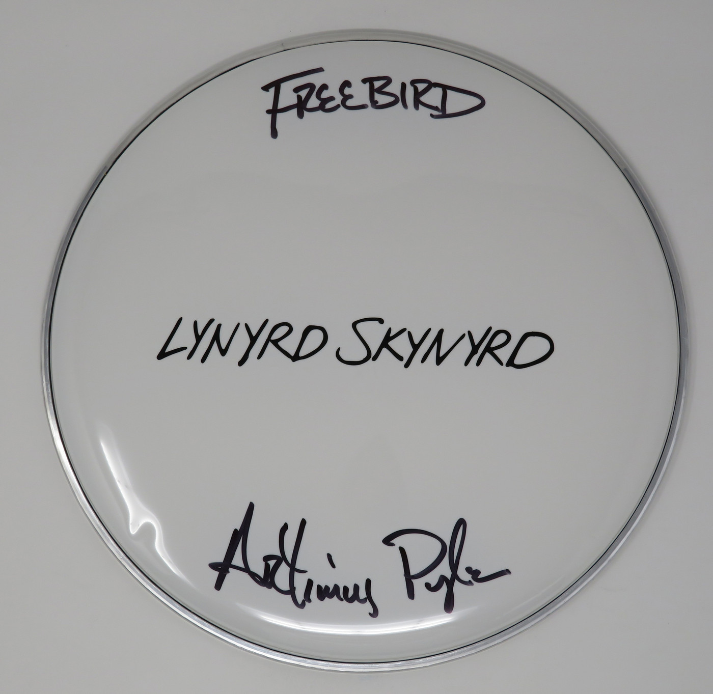 Lynyrd Skynyrd Signed Drumhead LH-WIT838173