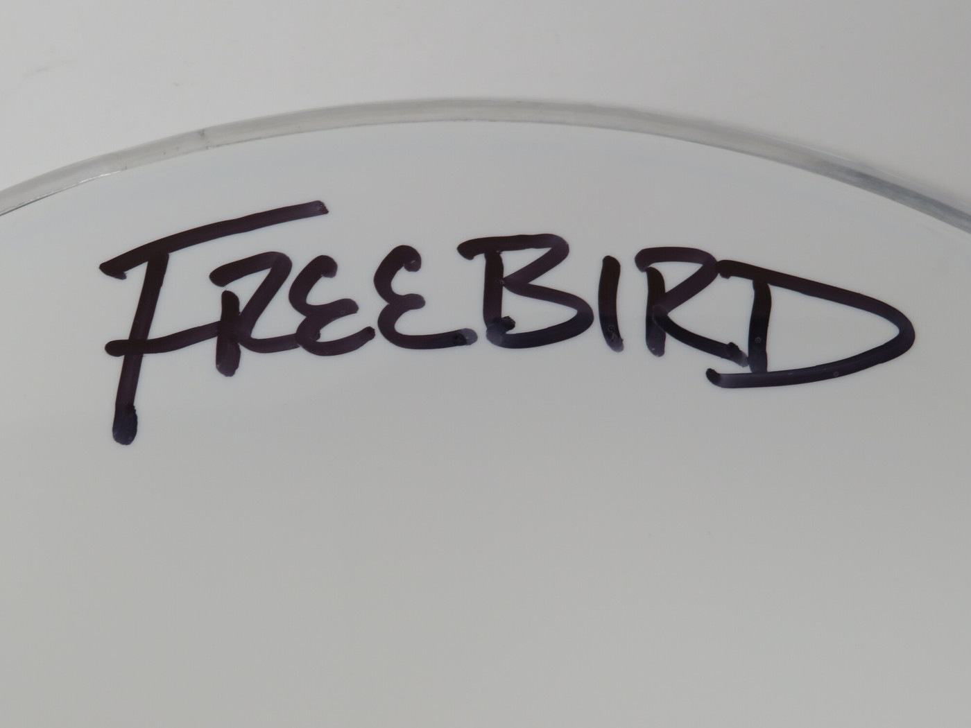 Lynyrd Skynyrd Signed Drumhead LH-WIT838173