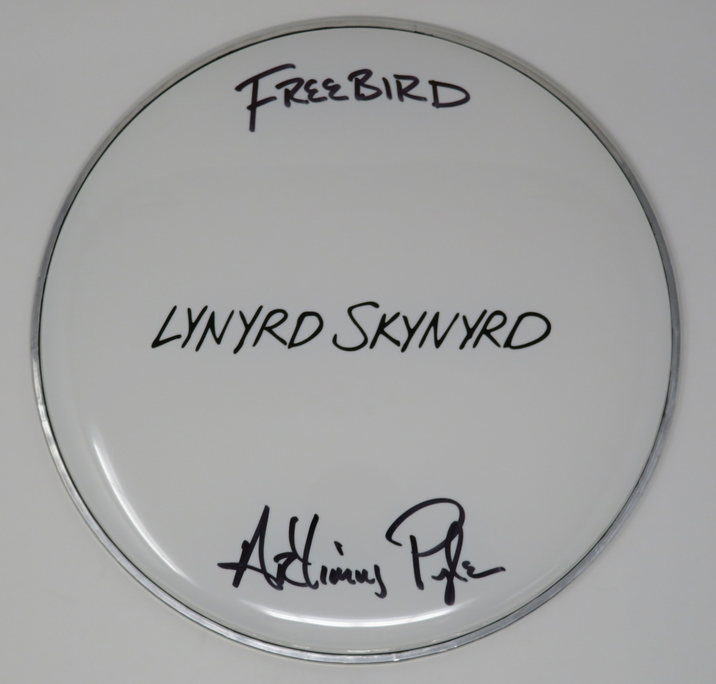Lynyrd Skynyrd Signed Drumhead LH-WIT838172
