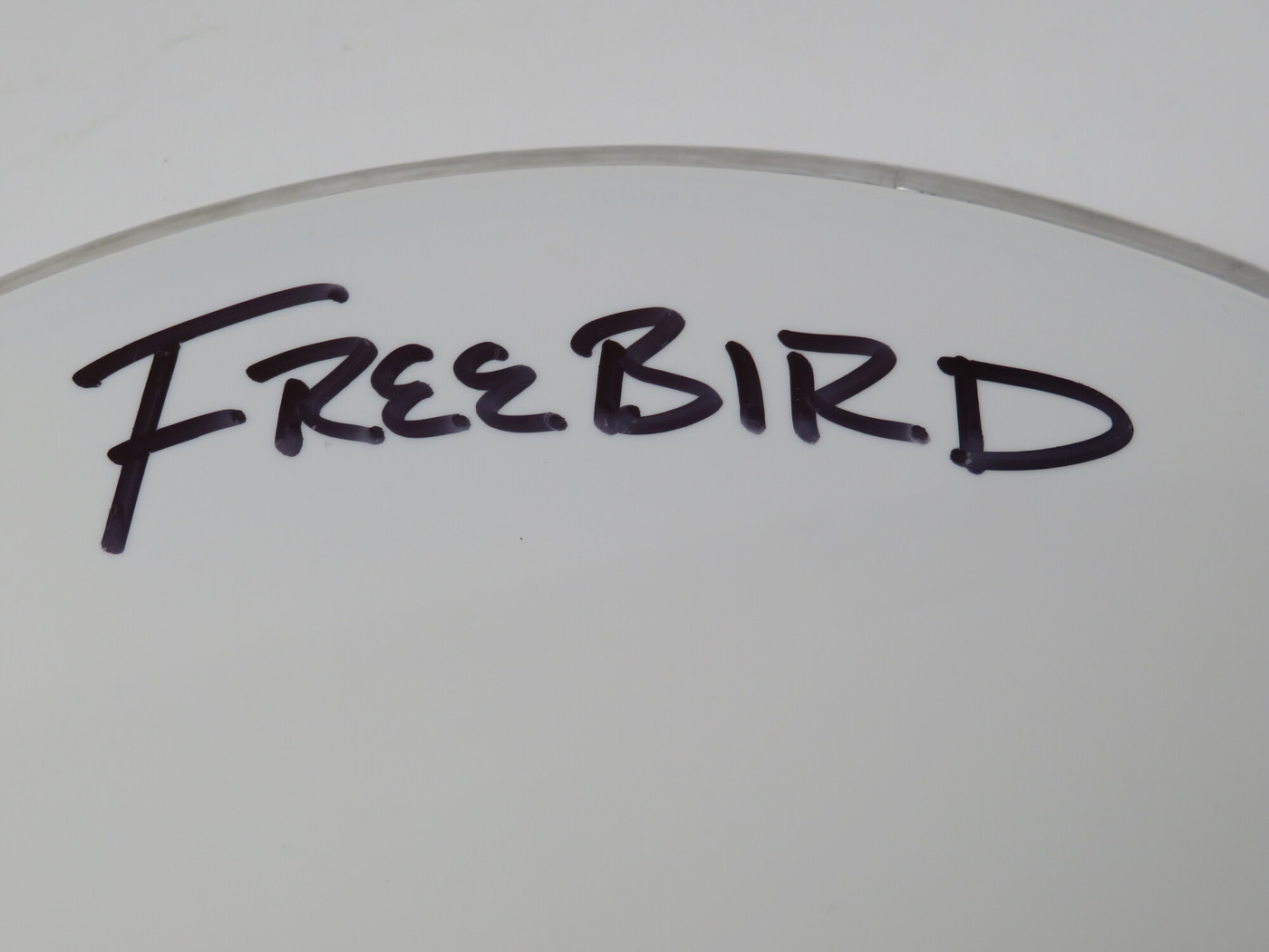 Lynyrd Skynyrd Signed Drumhead LH-WIT838172