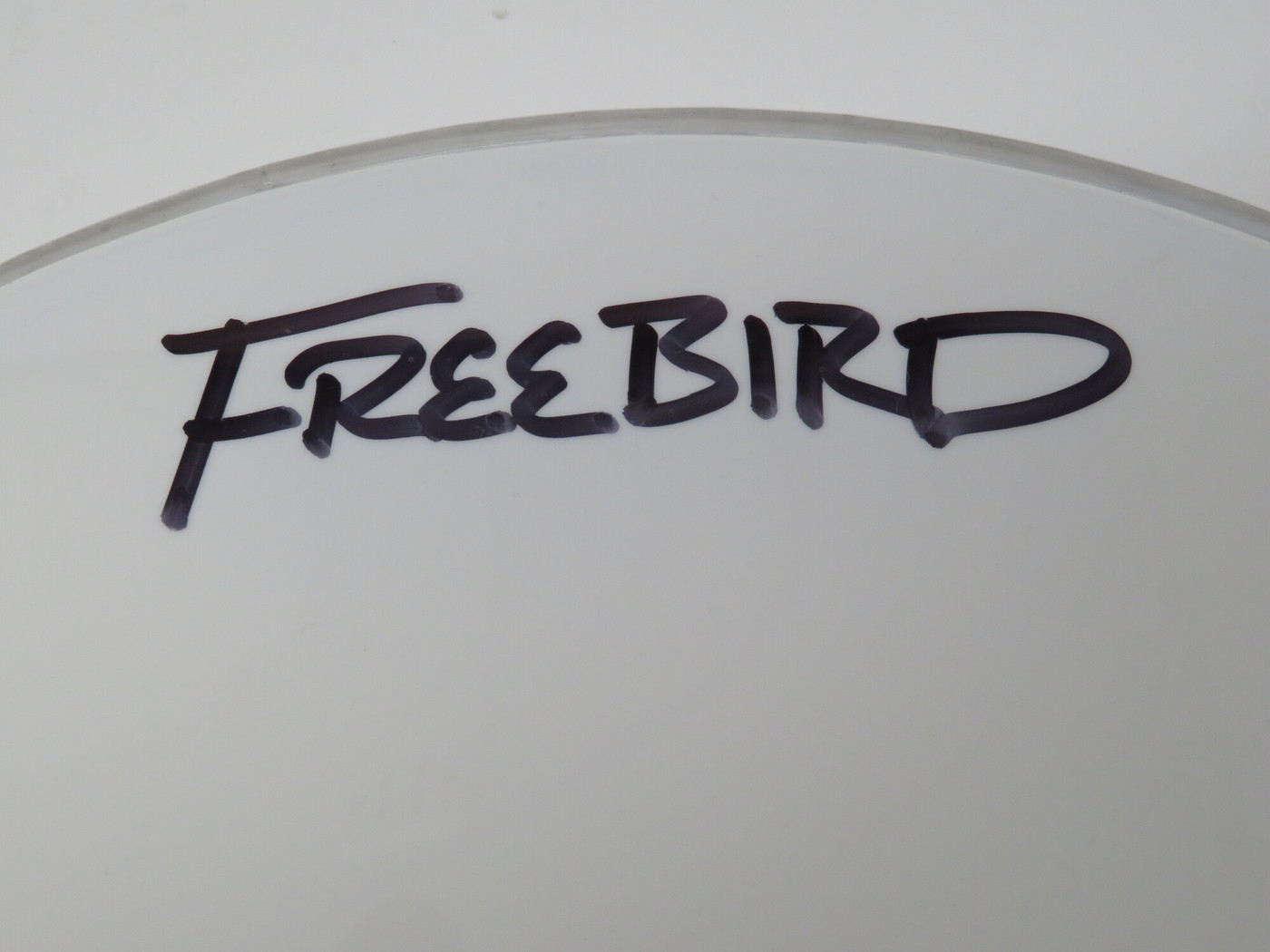 Lynyrd Skynyrd Signed Drumhead LH-WIT838192