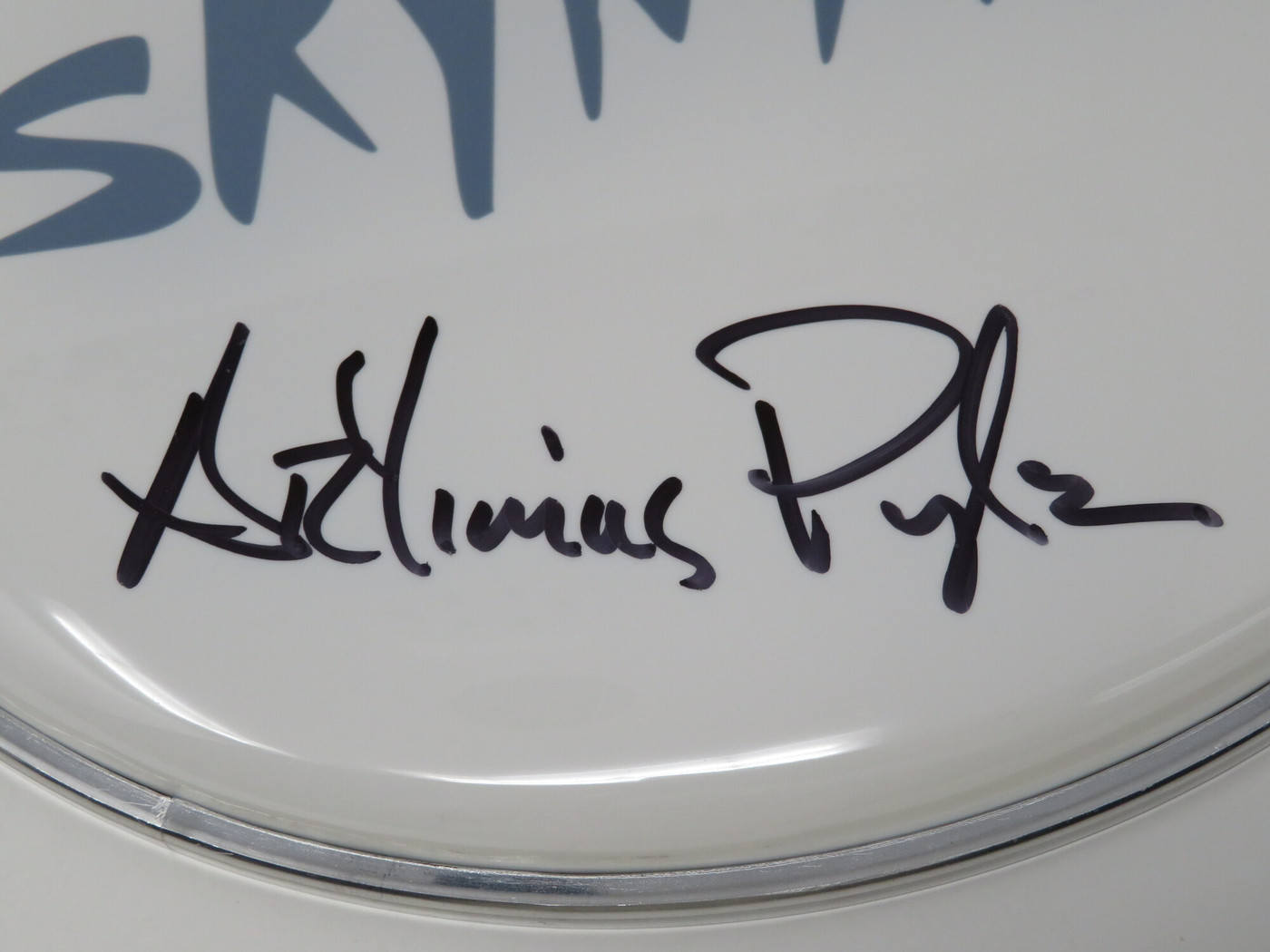 Lynyrd Skynyrd Signed Drumhead LH-WIT838162