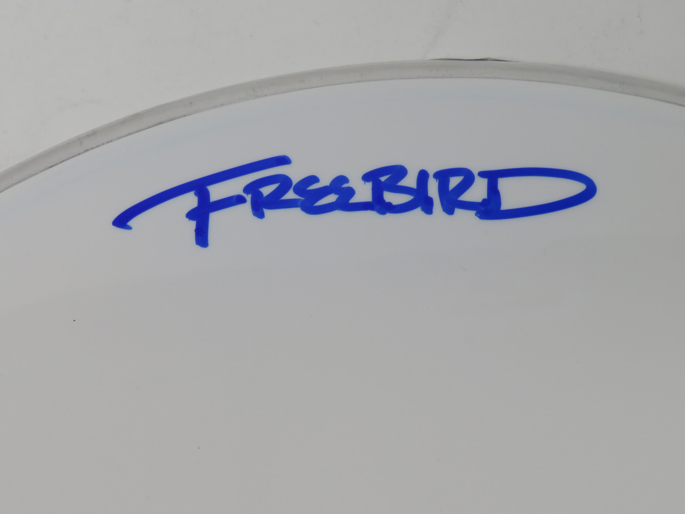 Lynyrd Skynyrd Signed Drumhead RR58791