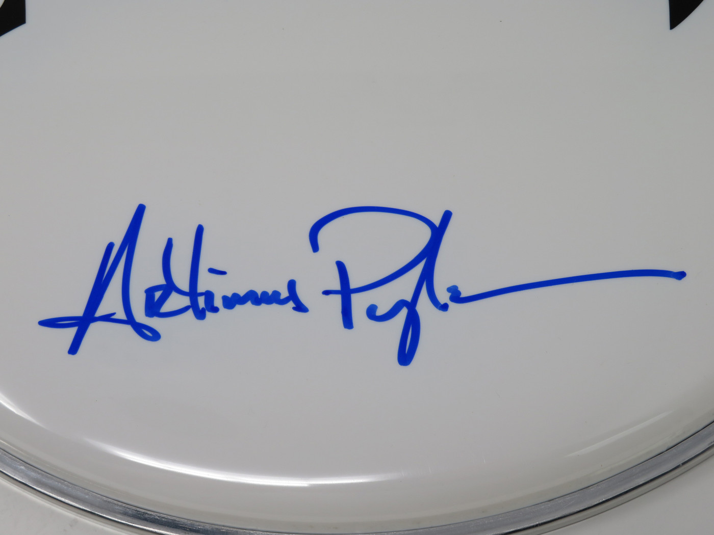 Lynyrd Skynyrd Signed Drumhead RR58791