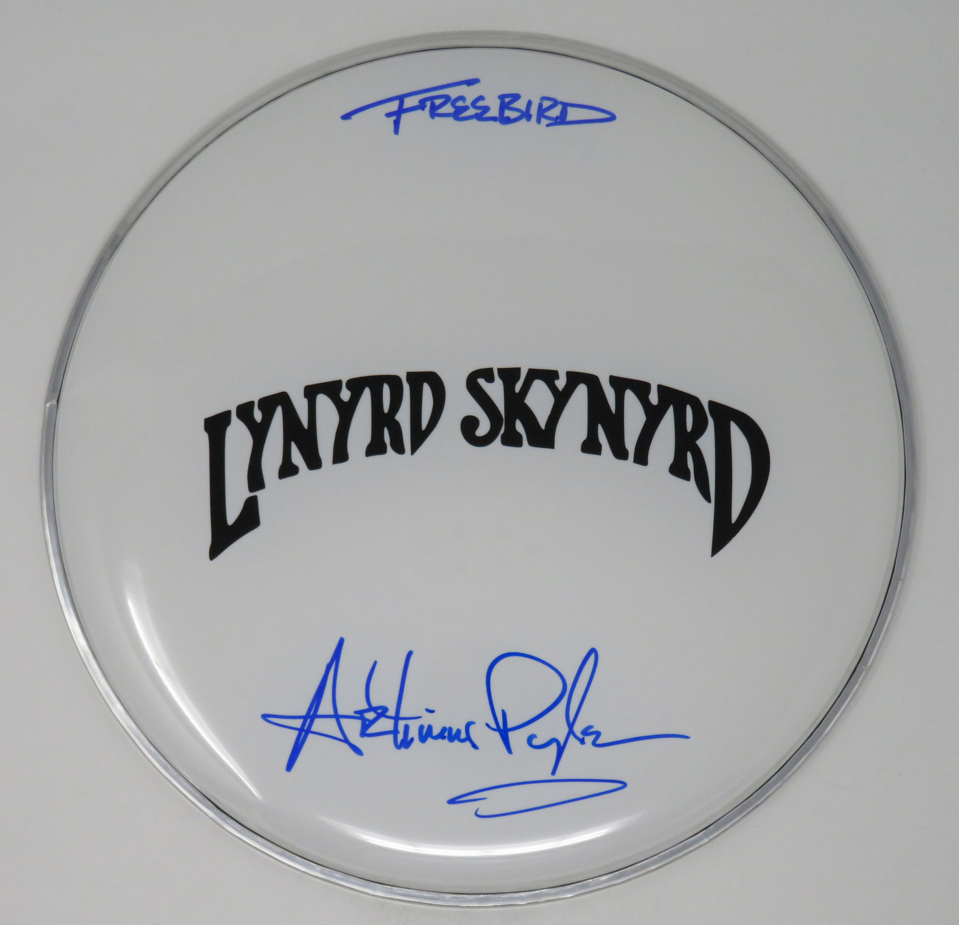 Lynyrd Skynyrd Signed Drumhead RR58785