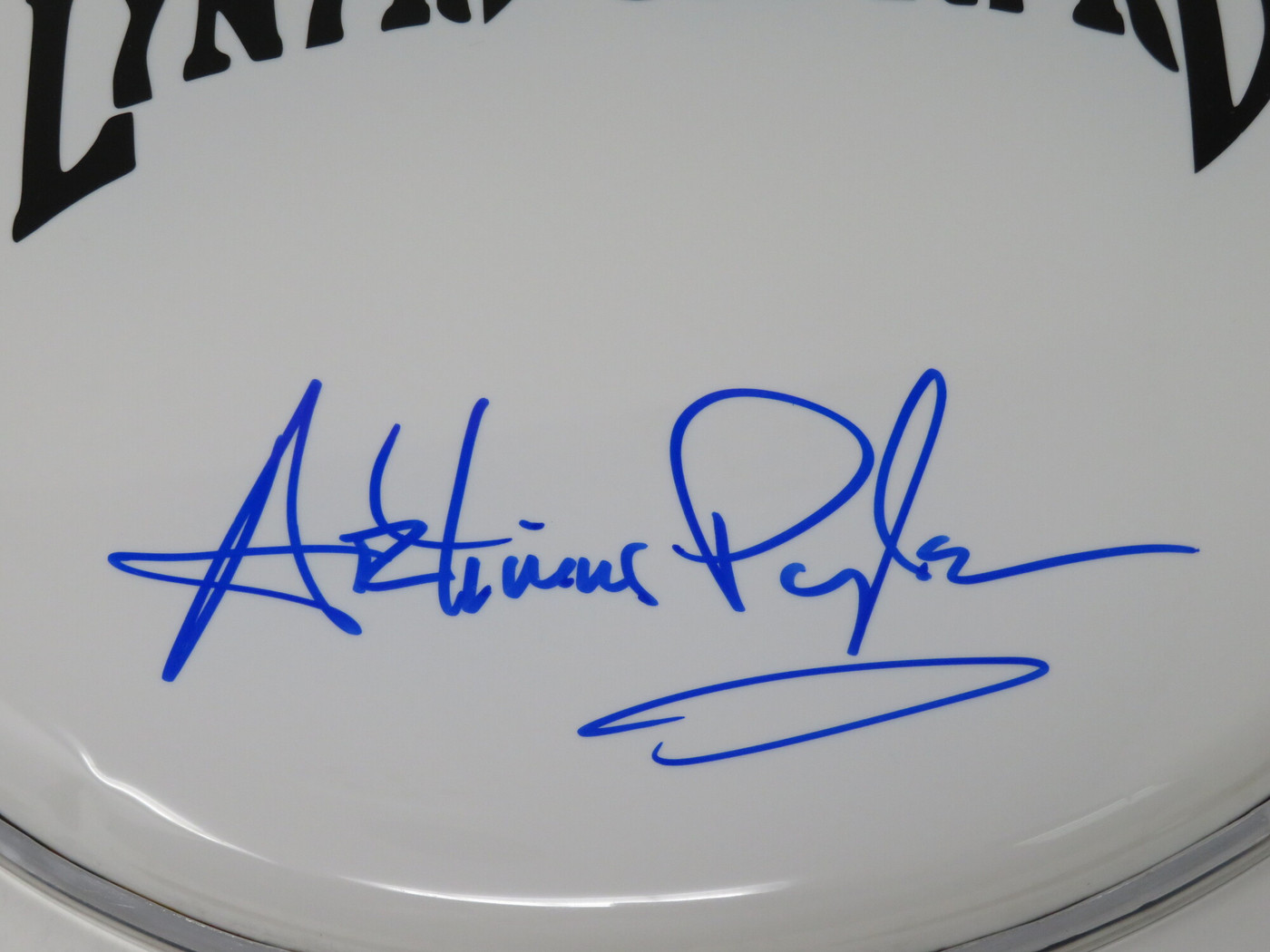 Lynyrd Skynyrd Signed Drumhead RR58785