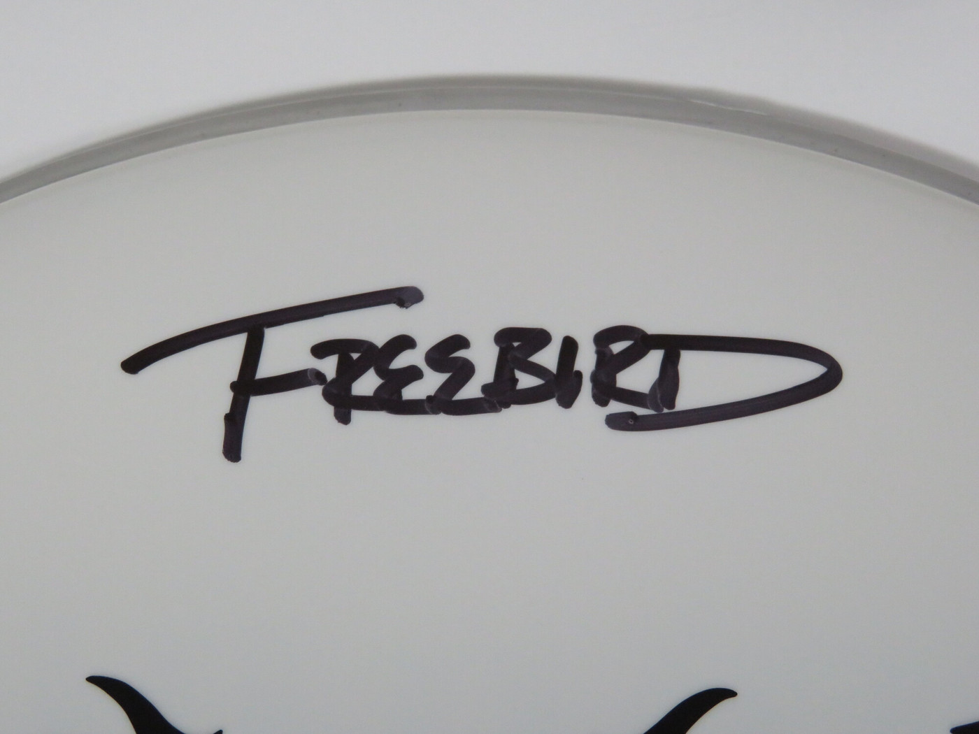 Lynyrd Skynyrd Signed Drumhead RR58794