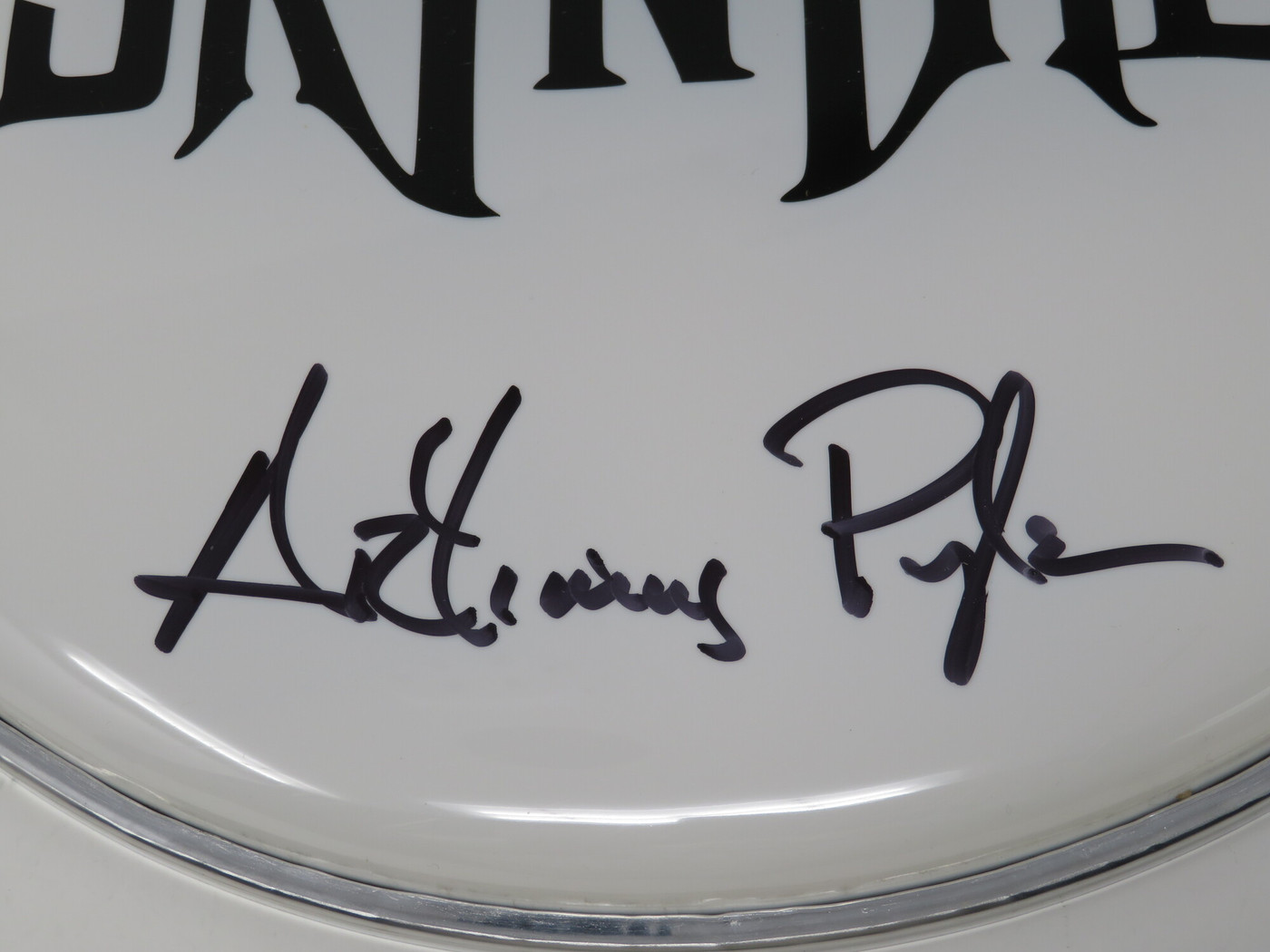 Lynyrd Skynyrd Signed Drumhead LH-WIT838166