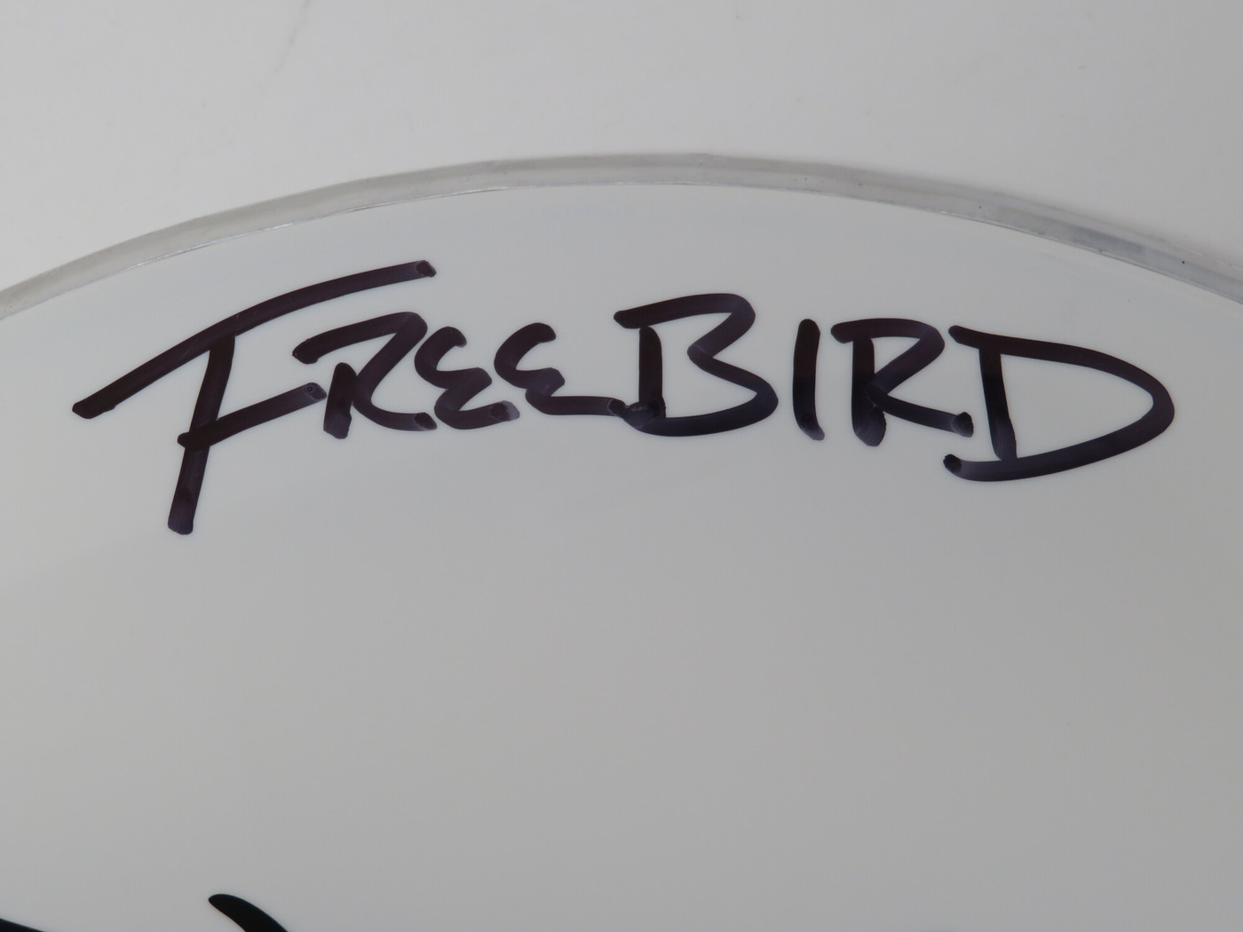 Lynyrd Skynyrd Signed Drumhead LH-WIT838170