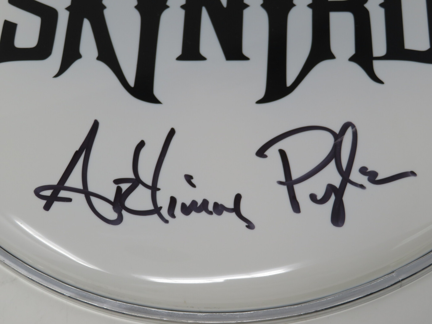 Lynyrd Skynyrd Signed Drumhead LH-WIT838170