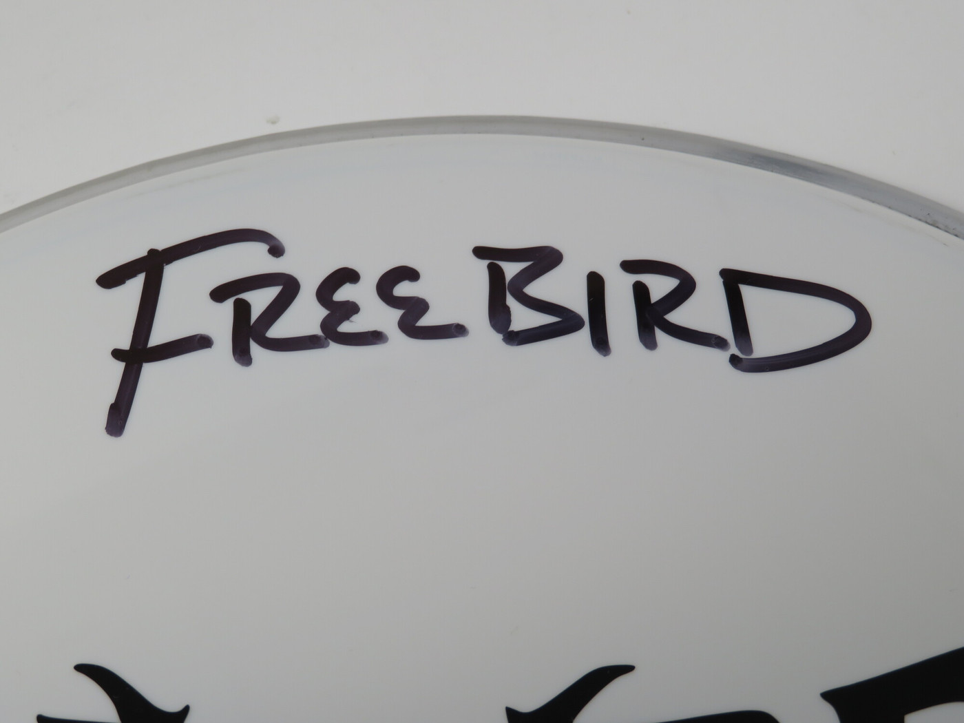 Lynyrd Skynyrd Signed Drumhead LH-WIT838174