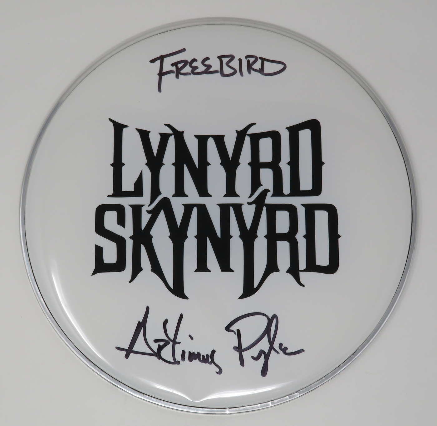 Lynyrd Skynyrd Signed Drumhead LH-WIT838175