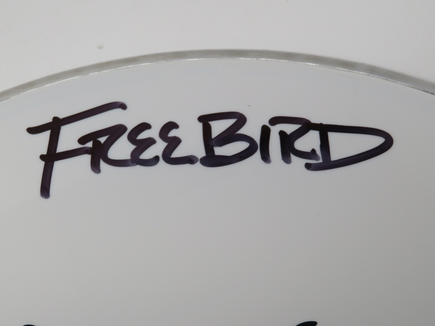 Lynyrd Skynyrd Signed Drumhead LH-WIT838176