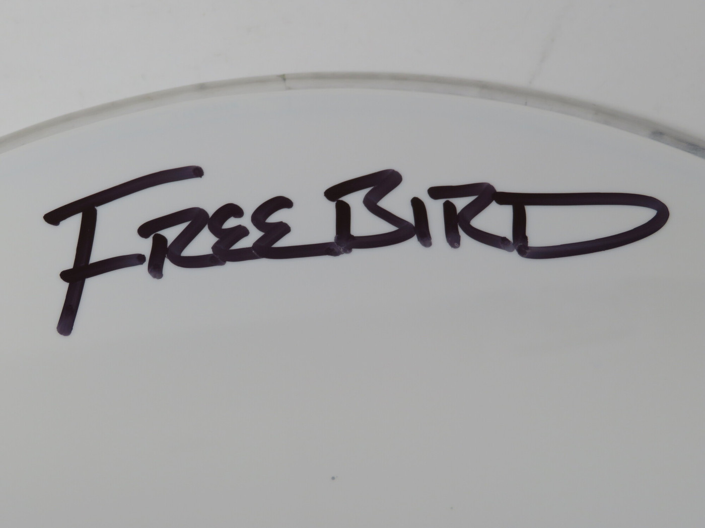 Lynyrd Skynyrd Signed Drumhead LH-WIT838177