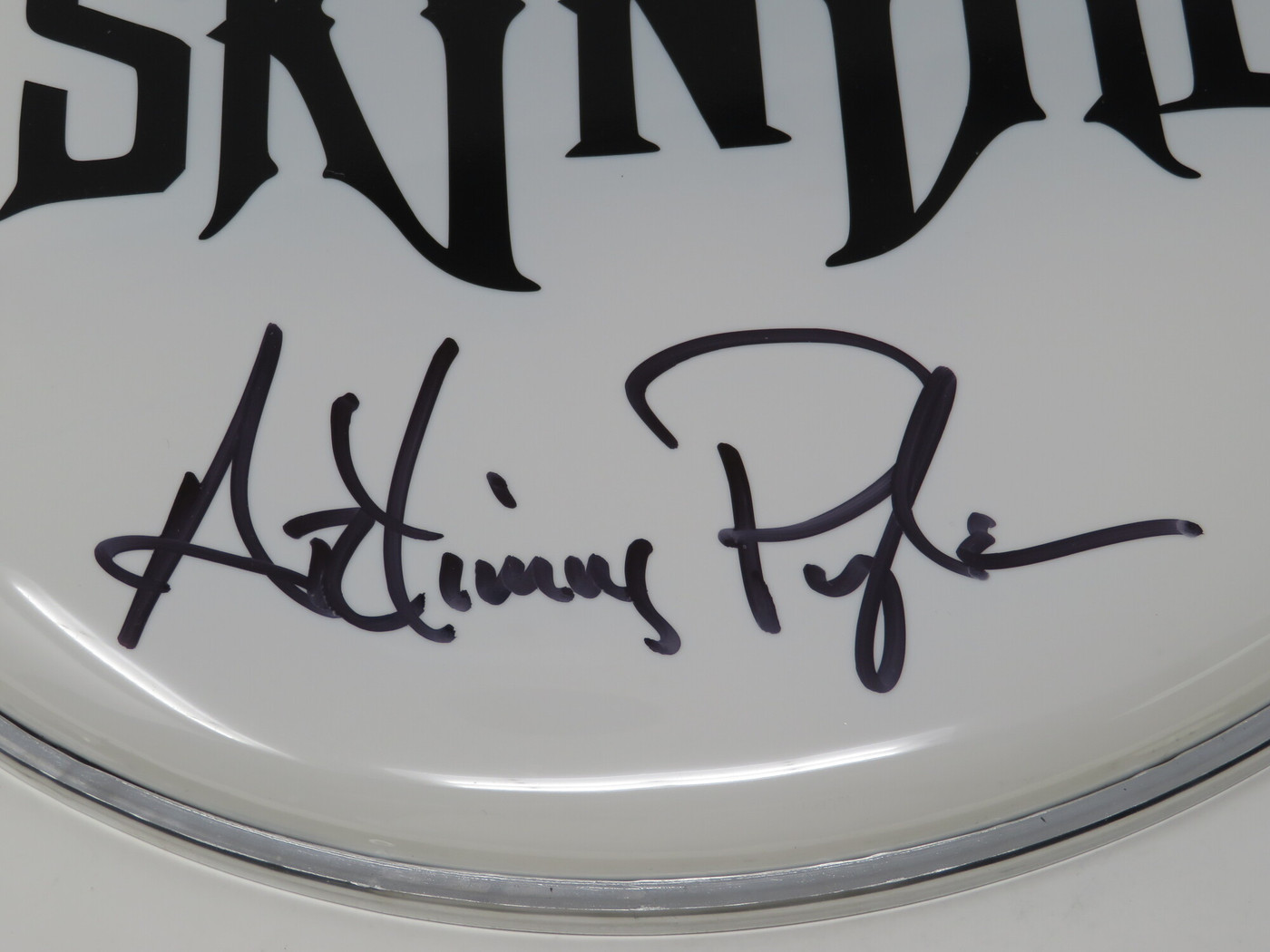 Lynyrd Skynyrd Signed Drumhead LH-WIT838177