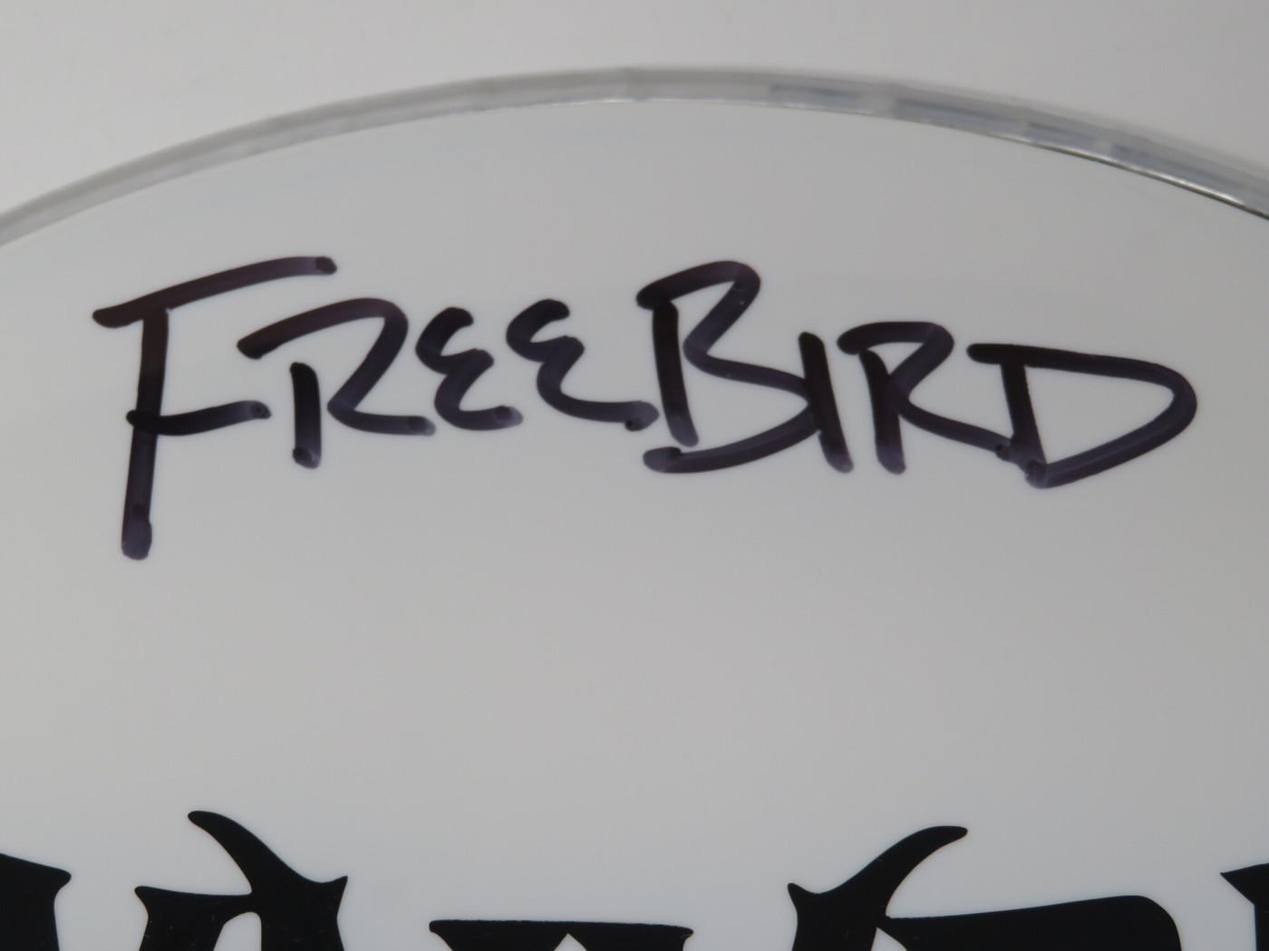 Lynyrd Skynyrd Signed Drumhead LH-WIT838179