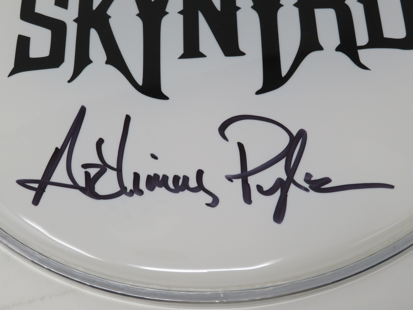 Lynyrd Skynyrd Signed Drumhead LH-WIT838188