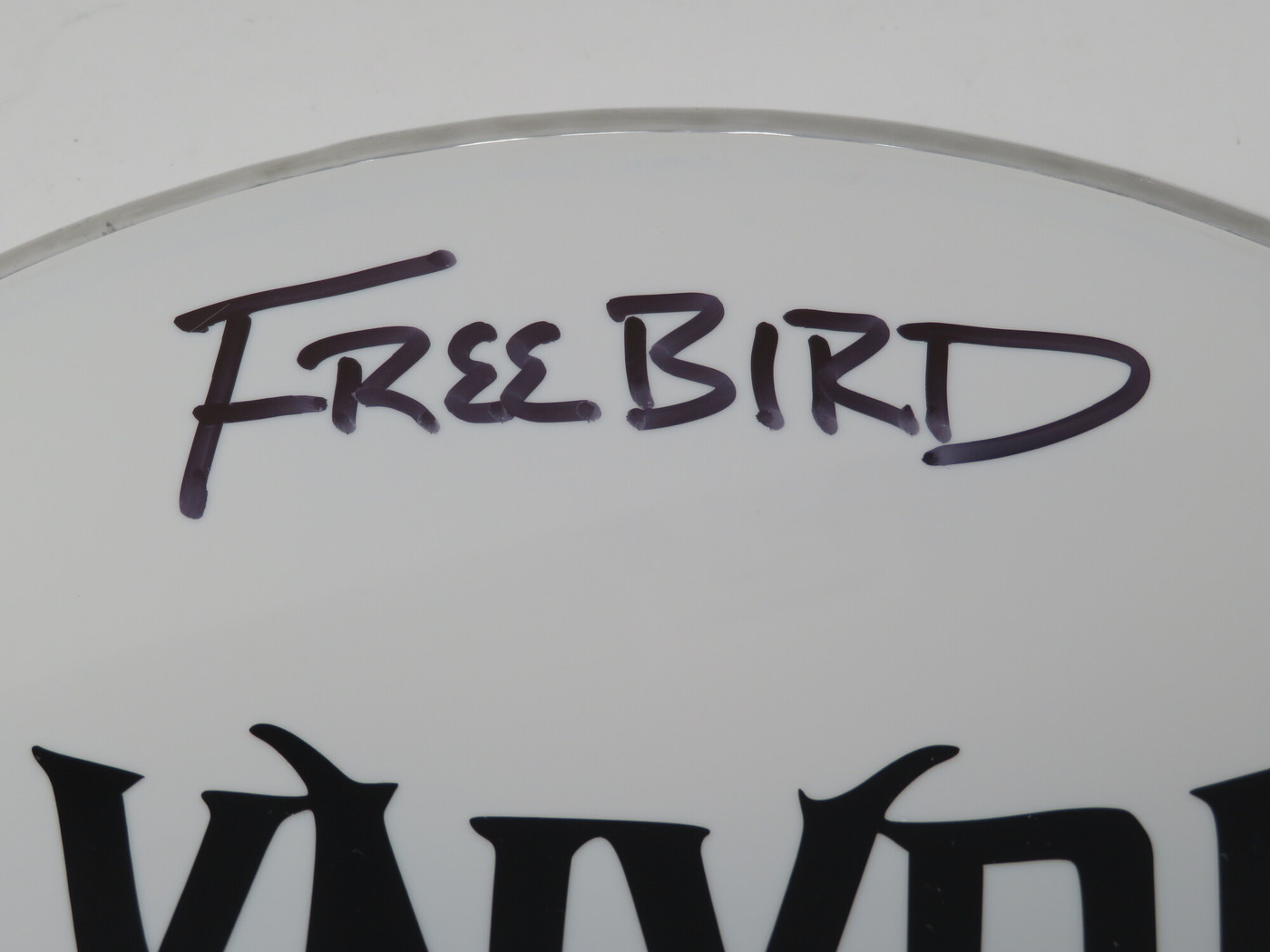 Lynyrd Skynyrd Signed Drumhead LH-WIT838181