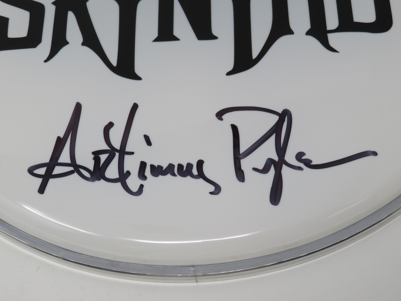 Lynyrd Skynyrd Signed Drumhead LH-WIT838184