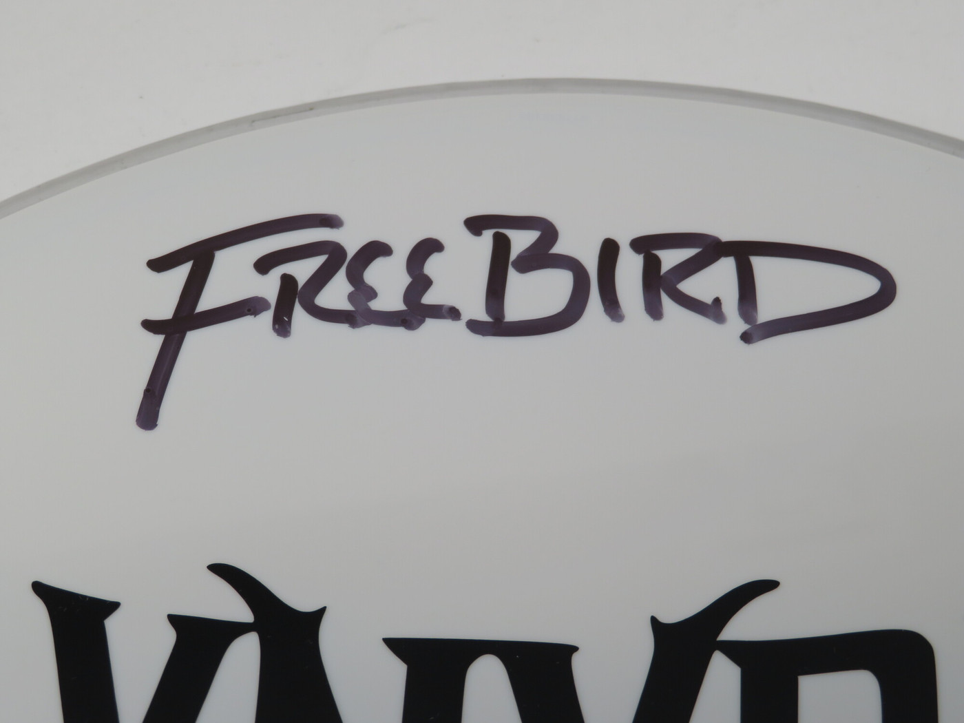 Lynyrd Skynyrd Signed Drumhead LH-WIT838186