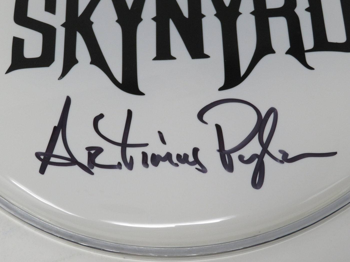 Lynyrd Skynyrd Signed Drumhead LH-WIT838195