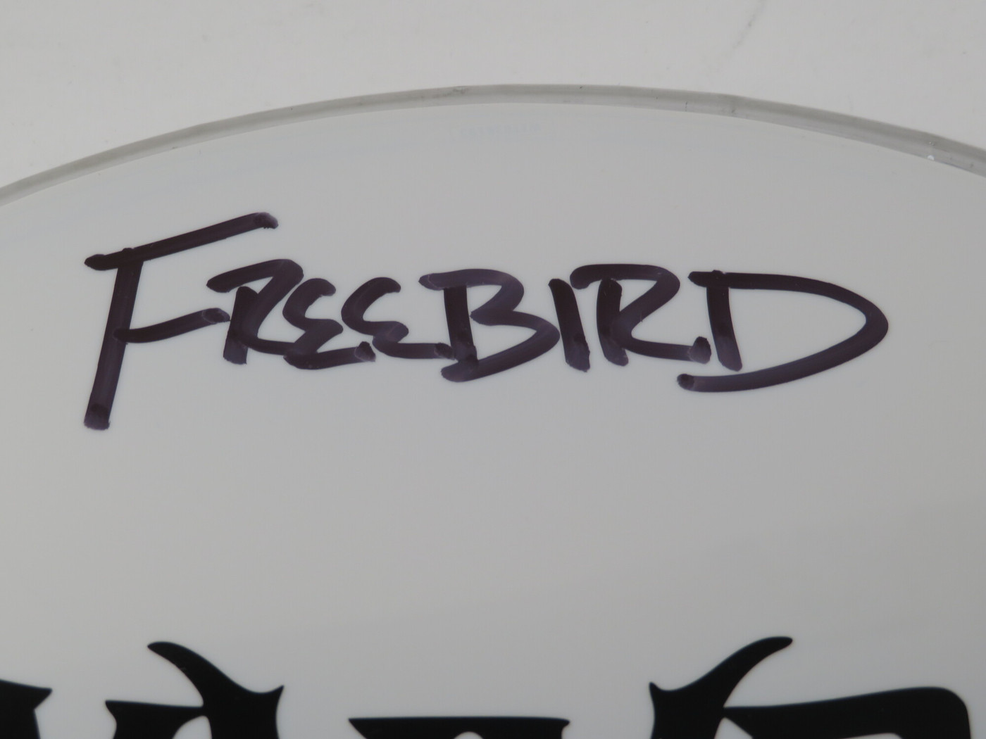 Lynyrd Skynyrd Signed Drumhead LH-WIT838193