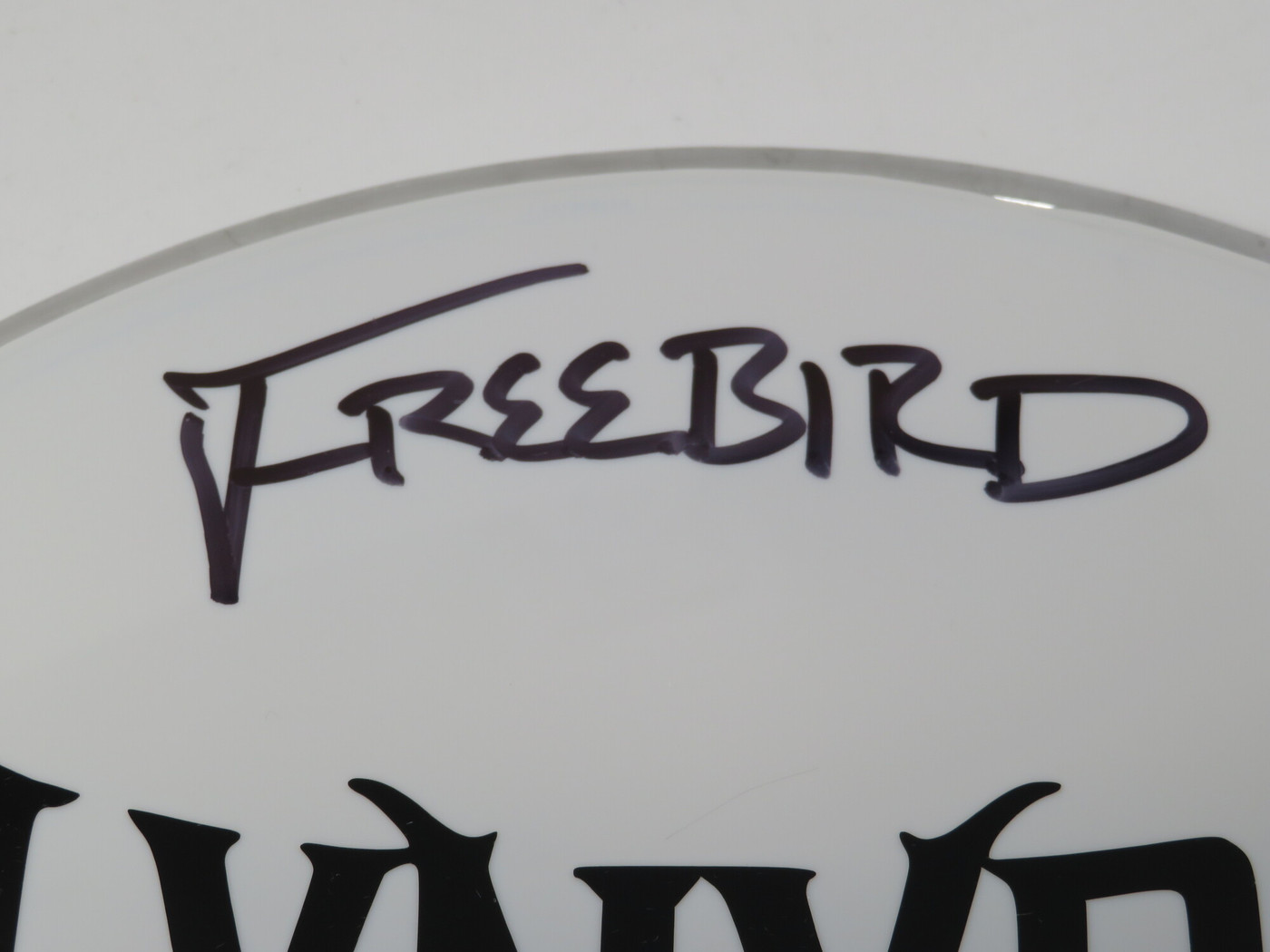 Lynyrd Skynyrd Signed Drumhead LH-WIT838191