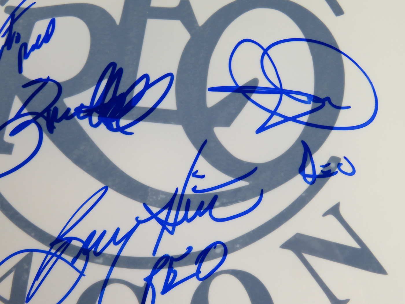 REO Speedwagon Signed Drumhead AI39892