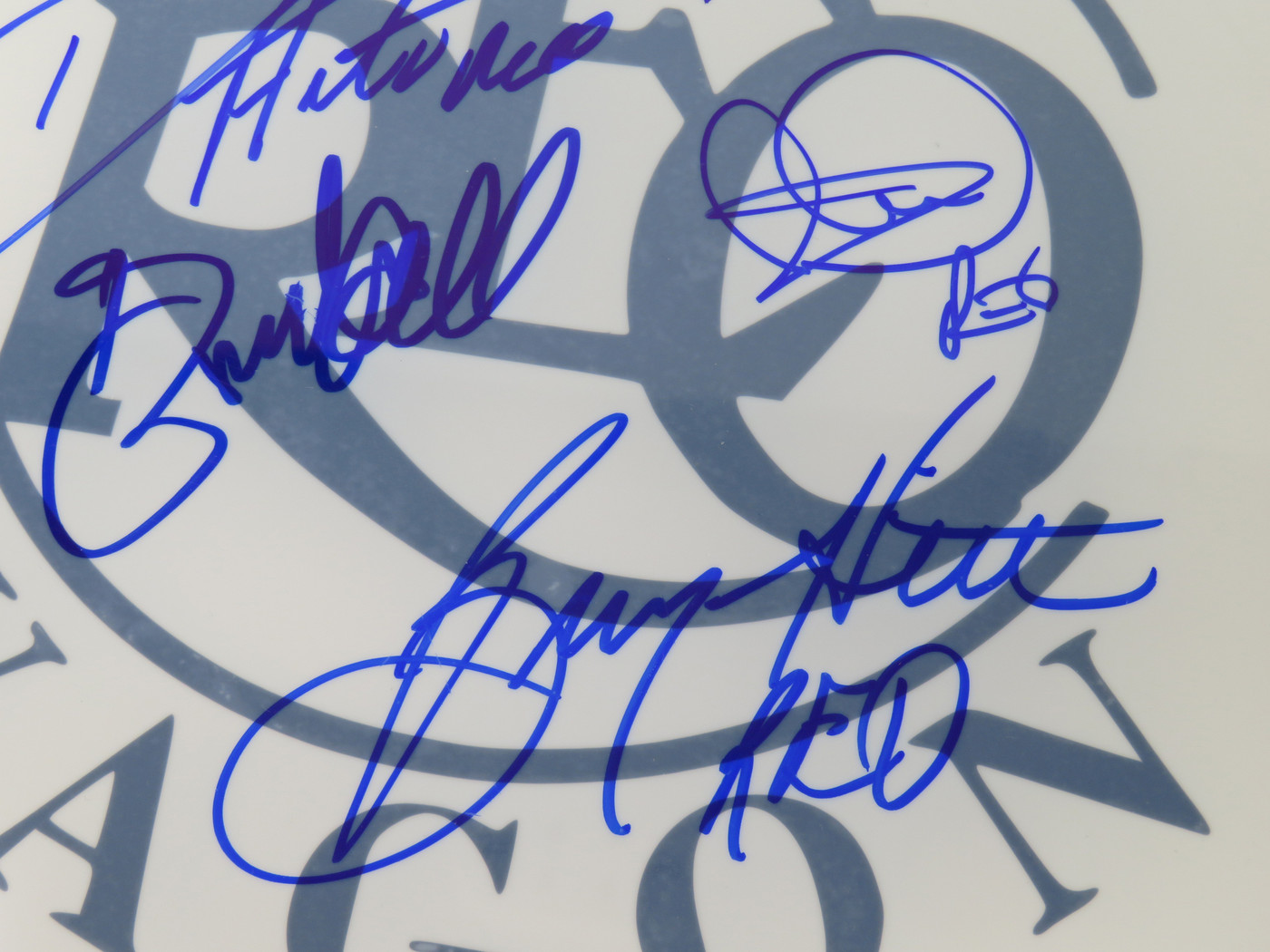 REO Speedwagon Signed Drumhead AI39893
