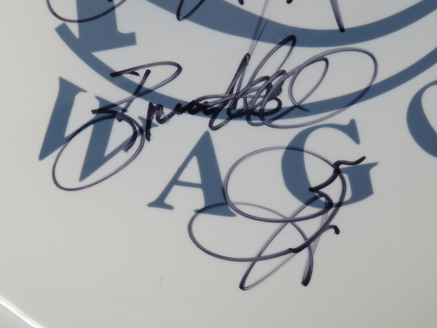 REO Speedwagon Signed Drumhead LH-RR58829