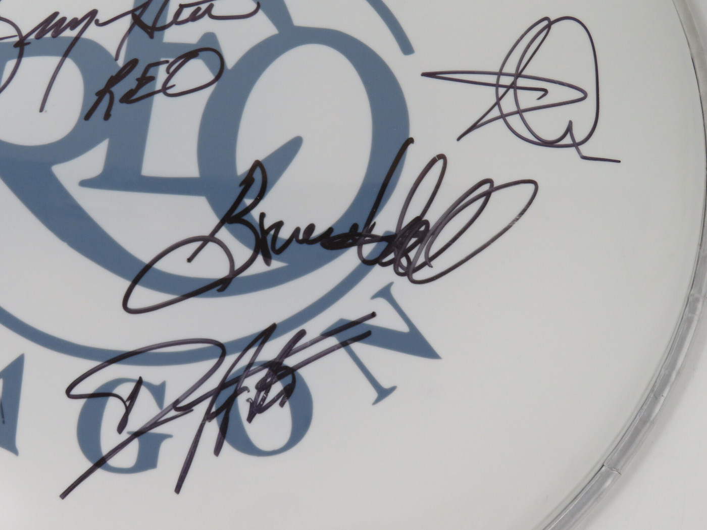 REO Speedwagon Signed Drumhead RR58820