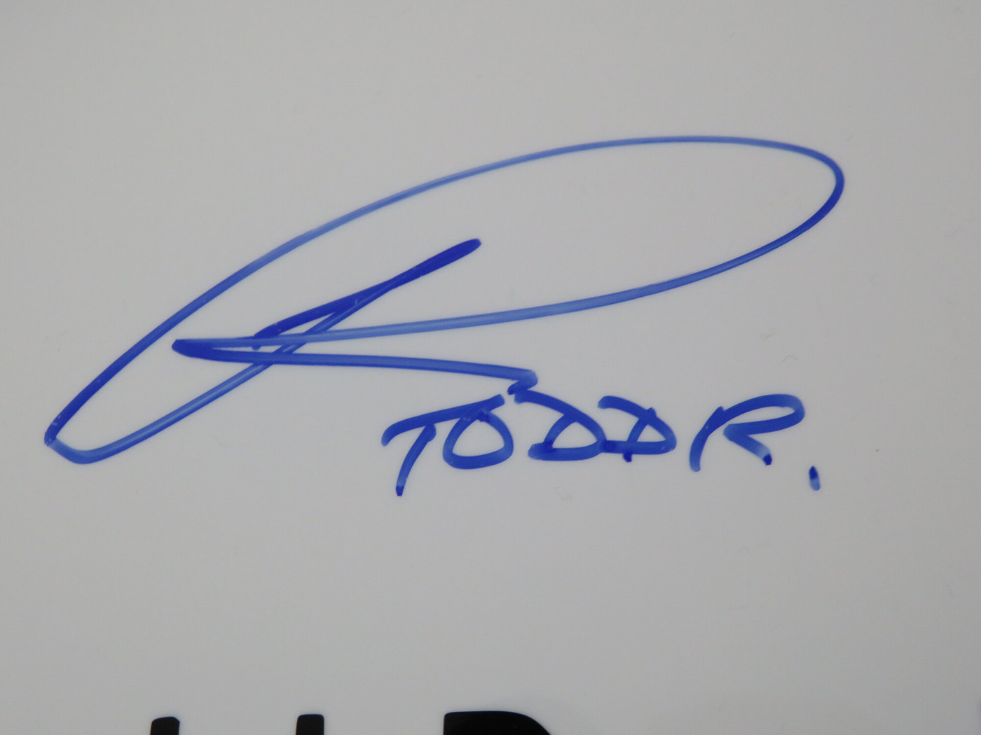 Todd Rundgren Signed Drumhead LH-RR58917