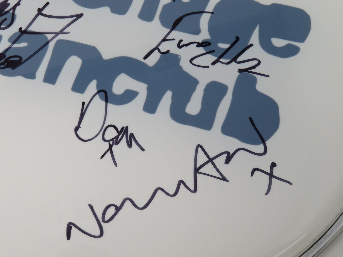Teenage Fanclub Signed Drumhead FF67792