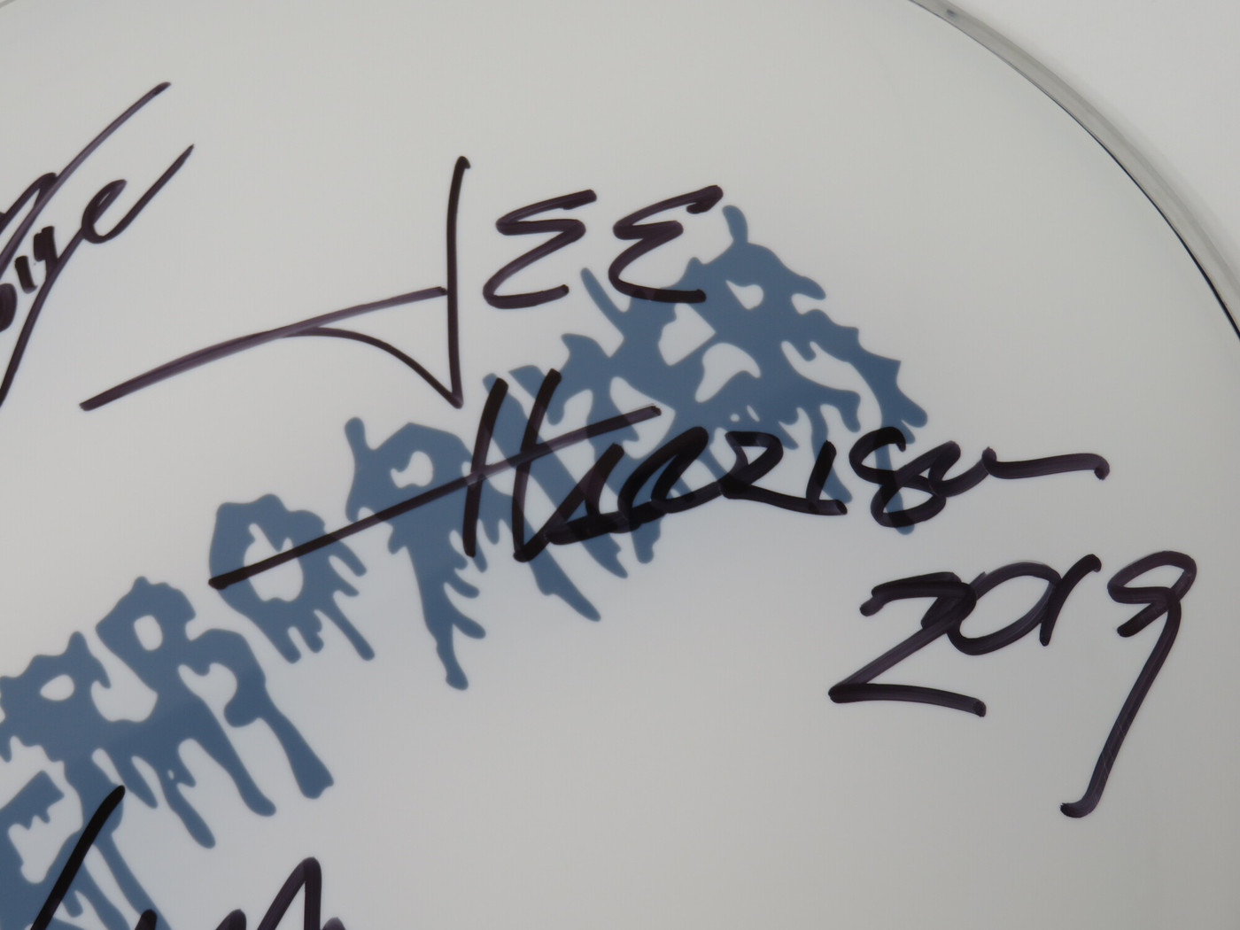 Terrorizer Signed Drumhead RR59352